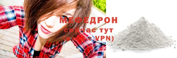 молекула духа Осташков