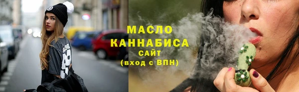 молекула духа Осташков
