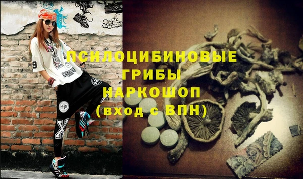 молекула духа Осташков