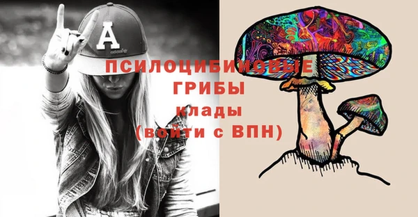 таблы Осинники