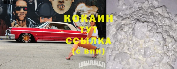 молекула духа Осташков