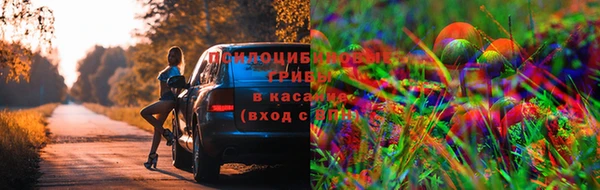 таблы Осинники