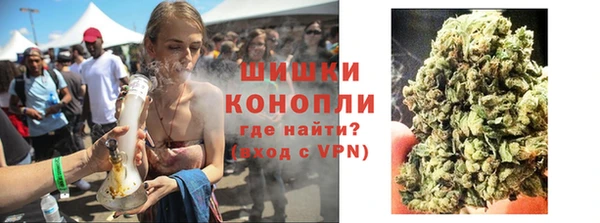 молекула духа Осташков