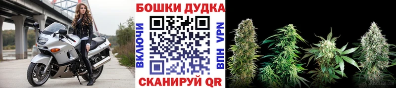 Бошки марихуана конопля blacksprut рабочий сайт Малаховка где можно купить